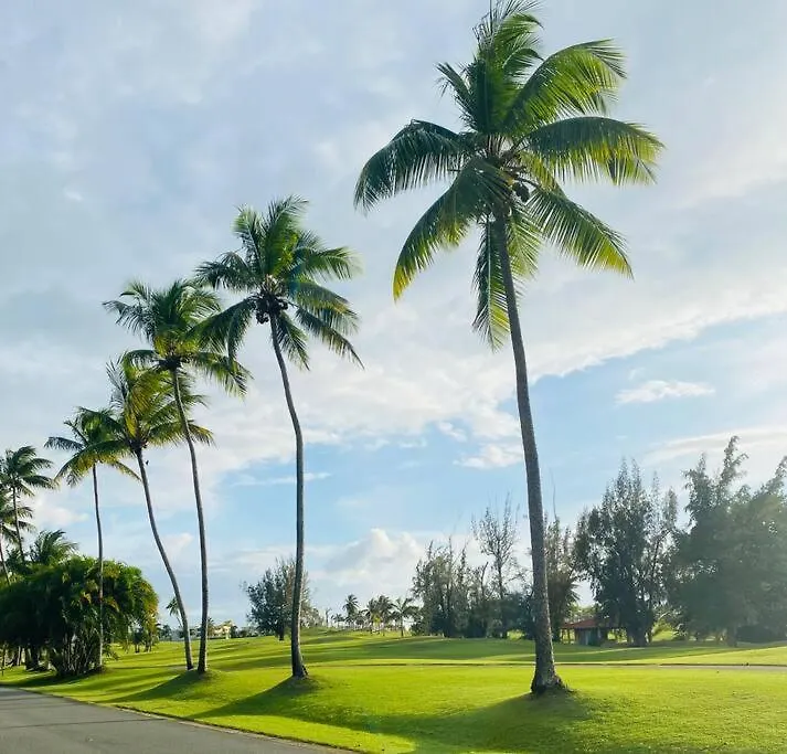 New-Paradisus Beach & Pool-Best Rate Guaranteed! Dorado Apartment